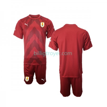 Billige Fotballdrakter Uruguay Keeper Barn Hjemmedraktsett VM I Fotball 2022 Kortermet